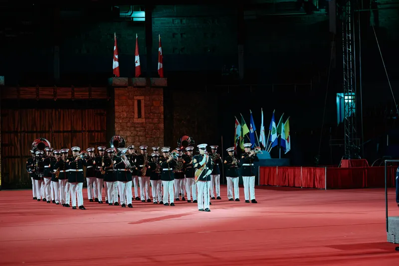 The band in white trousers and dark tunics lined up in front of the castle set and the flags.